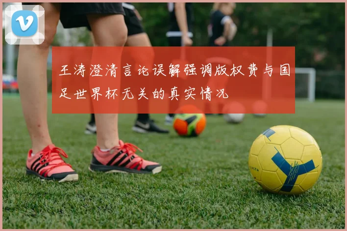 王涛澄清言论误解强调版权费与国足世界杯无关的真实情况
